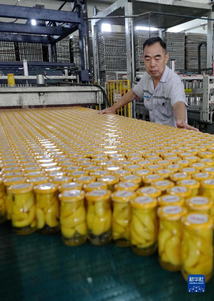 大豪客开奖登录